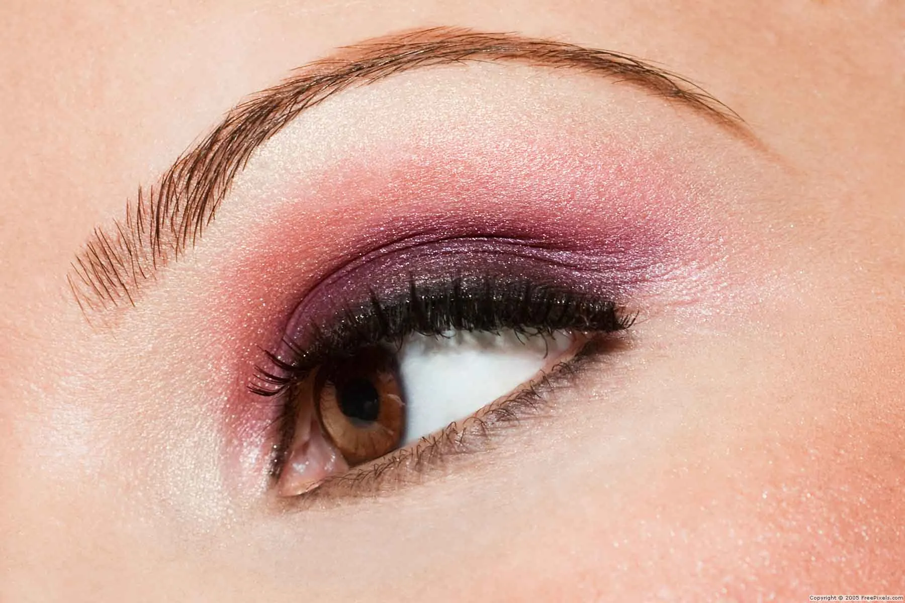 cejas